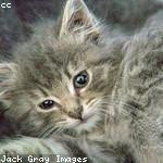 Remington Erdman Profile Picture