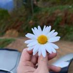 Çamlıhemşin profile picture