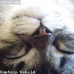 Cierra McDermott Profile Picture