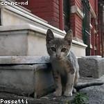 Sabina Dicki Profile Picture