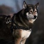 Carroll Klein Profile Picture