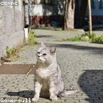 Haylee Crist Profile Picture