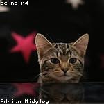 Shaun Kunde Profile Picture