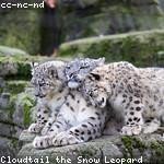 Tristian Heller Profile Picture