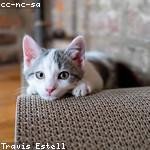 Edgardo Mitchell Profile Picture